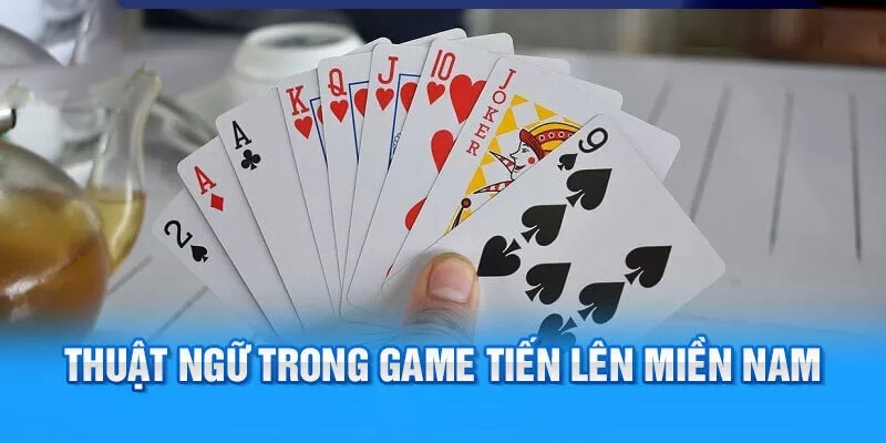 Những chi bài quan trọng mà người chơi cần nắm